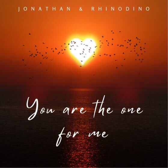 You are the one for me single